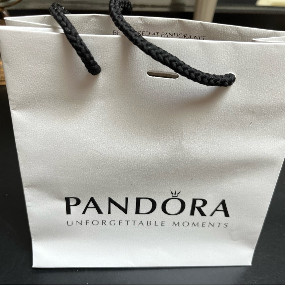 NEW Pandora silver bangle charm bracelet